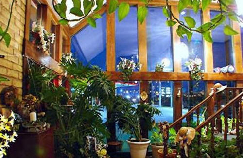 Edelweiss Inn Нью-Браунфелс Екстер'єр фото